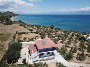 Akrojali